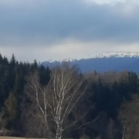 Vendégház Bily Zralok *